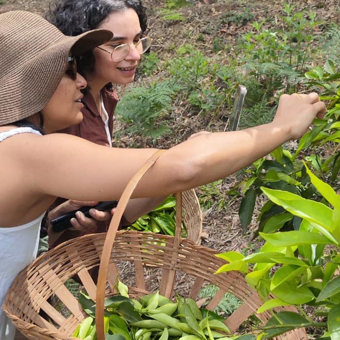 alquimia do aroma-26- (9)