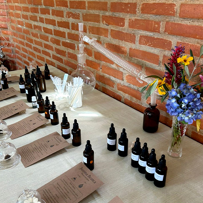 alquimia do aroma-img-10