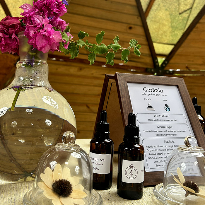 alquimia do aroma-img-8